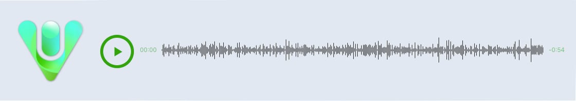 audio_virtuami
